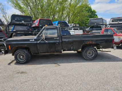 1979 Chevrolet C10