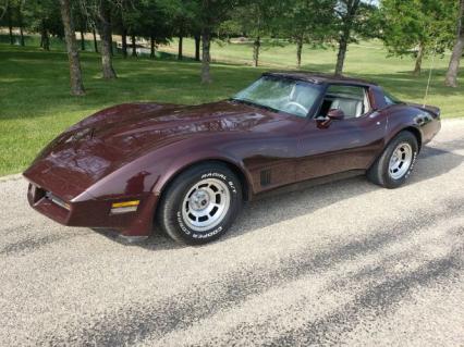 1981 Chevrolet Corvette