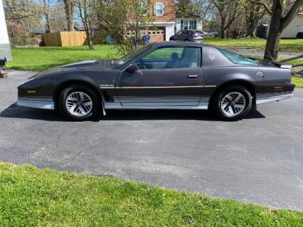 1984 Pontiac Firebird