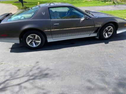 1984 Pontiac Firebird