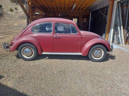 1967 Volkswagen Beetle