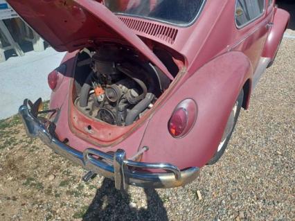 1967 Volkswagen Beetle