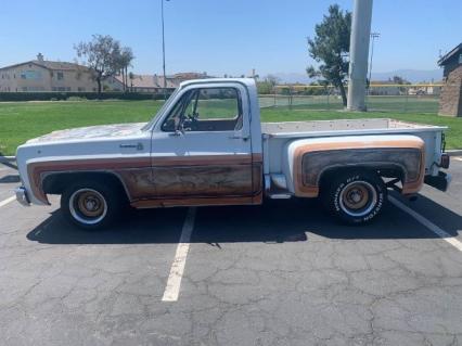 1979 Chevrolet Scottsdale