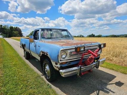 1973 Dodge D100