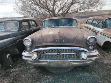 1955 Buick Special