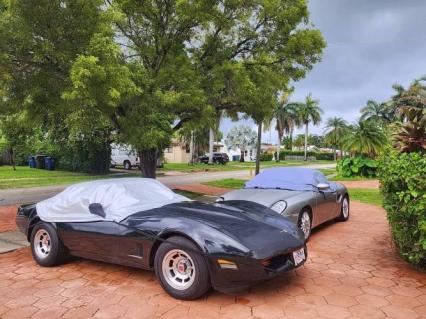 1980 Chevrolet Corvette