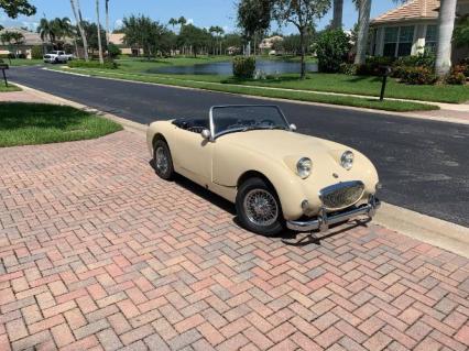 1959 Austin Healey Bugeye Sprite