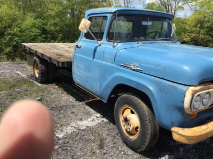 1959 Ford F100