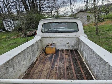 1961 Ford F100