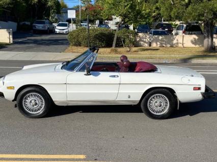 1978 Alfa Romeo Spider