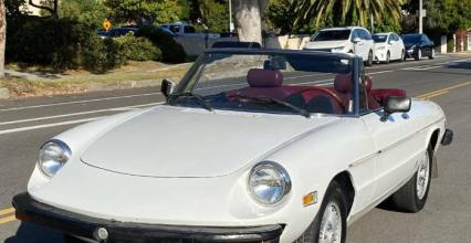 1978 Alfa Romeo Spider