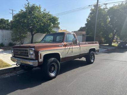 1980 Chevrolet Silverado