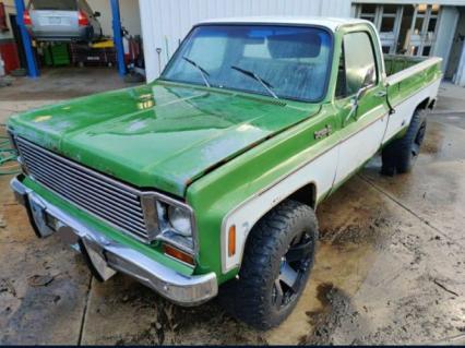 1974 Chevrolet Pickup