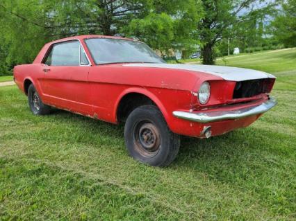 1966 Ford Mustang