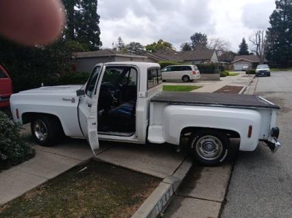 1976 Chevrolet Pickup