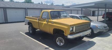 1973 Chevrolet C10