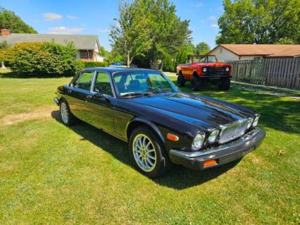 1983 Jaguar XJ6