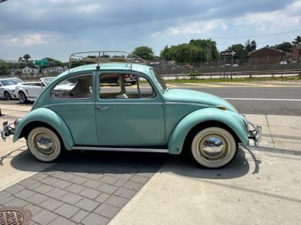 1966 Volkswagen Beetle