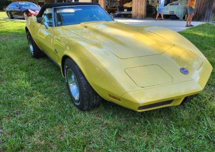 1974 Chevrolet Corvette