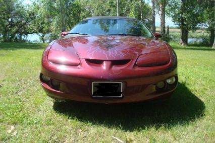 2002 Pontiac Firebird