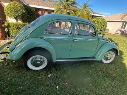 1961 Volkswagen Beetle