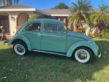 1961 Volkswagen Beetle