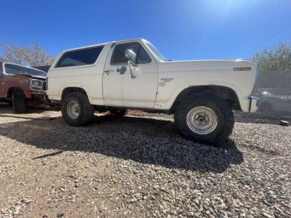 1985 Ford Bronco