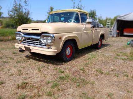 1960 Ford F100