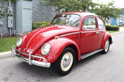 1965 Volkswagen Beetle