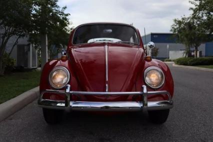 1965 Volkswagen Beetle