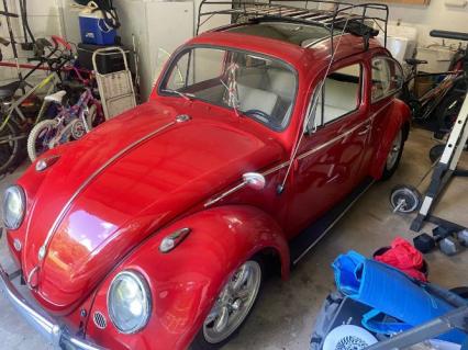 1964 Volkswagen Beetle