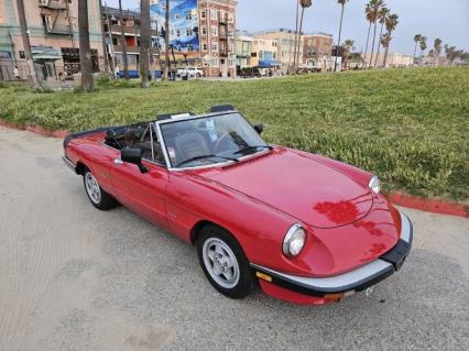 1986 Alfa Romeo Spider