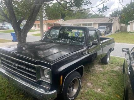 1977 Chevrolet C10