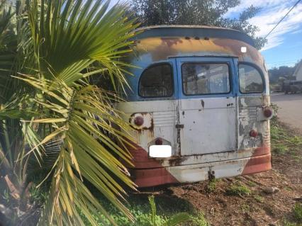 1965 Dodge Bus