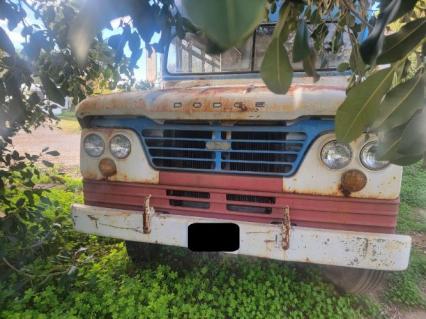 1965 Dodge Bus