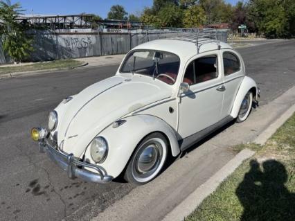 1963 Volkswagen Beetle