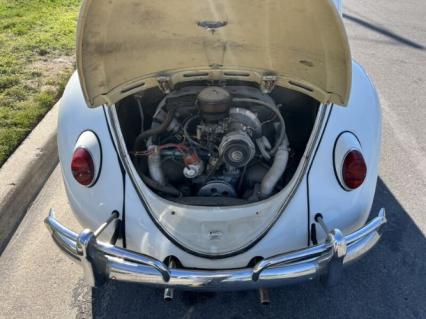 1963 Volkswagen Beetle