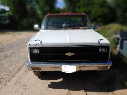 1981 Chevrolet C30