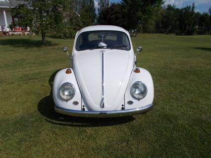 1966 Volkswagen Beetle