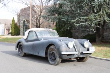 1954 Jaguar XK120