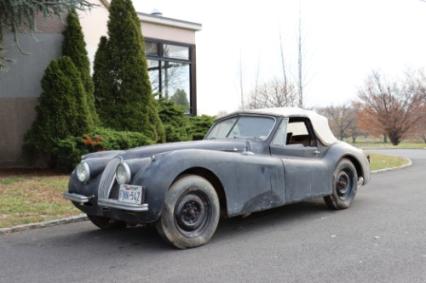 1954 Jaguar XK120