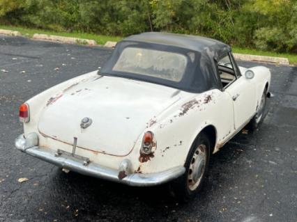 1961 Alfa Romeo Giulietta Spider