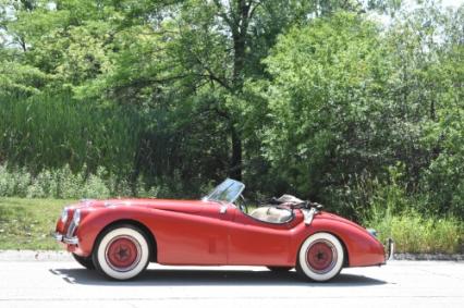 1952 Jaguar XK120