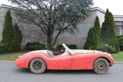 1952 Jaguar XK120