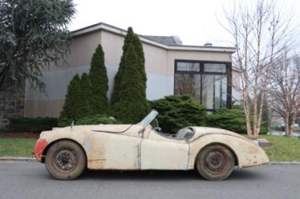 1952 Jaguar XK120