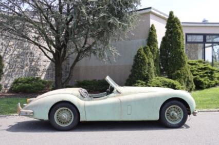 1955 Jaguar Xk140