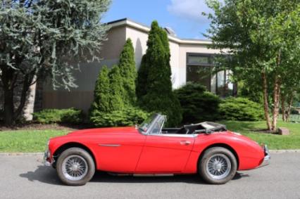 1965 Austin Healey 3000 MK III