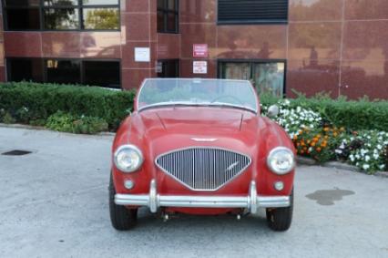 1955 Austin Healey 100-4 BN1