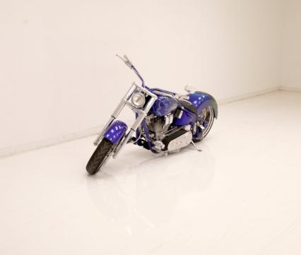 2003 Custom Showrider