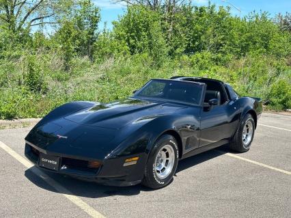 1981 Chevrolet Corvette